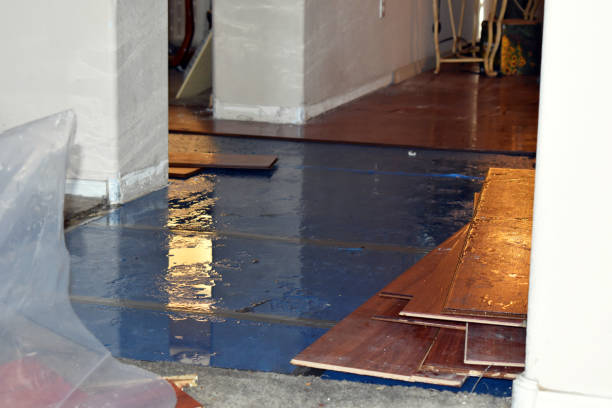 Professional Flood Damage Repair technician working in Crystal Beach, FL